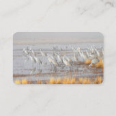 Misty Sandhill Cranes Visitekaartje (Achterkant)