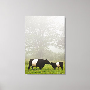 Misty scène van een buikgeit-koe die haar moedert canvas afdruk