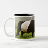 Misty scène van een buikgeit-koe die haar moedert tweekleurige koffiemok (Links)