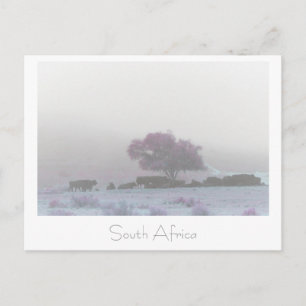 Misty South Africa Rural Landscape SA Briefkaart