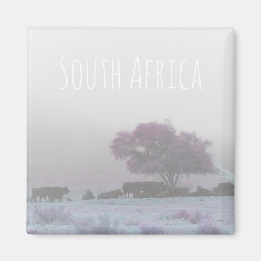 Misty South Africa Rural Landscape SA Magnet (Voorkant)