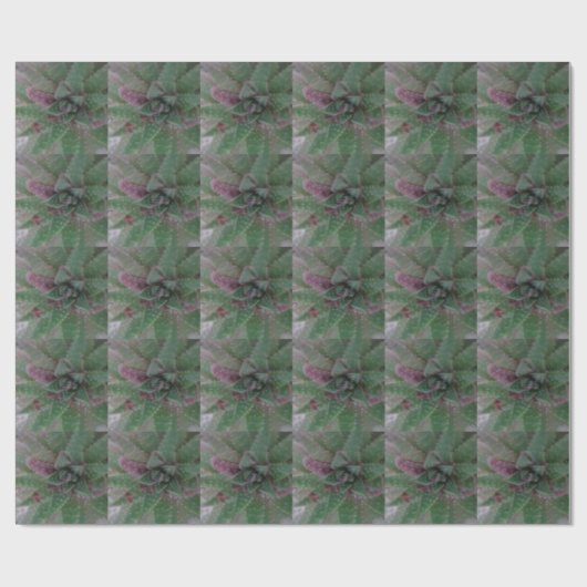 Misty Succulent, Green Paars, Natuur, Flora Plant Cadeaupapier (Vlak)