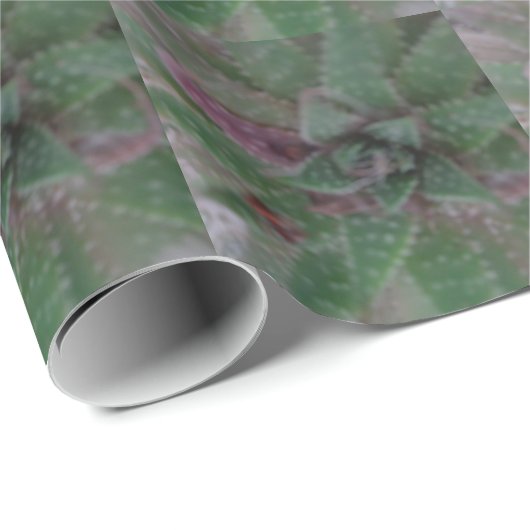 Misty Succulent, Green Paars, Natuur, Flora Plant Cadeaupapier (Rol Hoek)