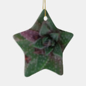 Misty Succulent, Green Paars, Natuur, Flora Plant Keramisch Ornament (Rechts)