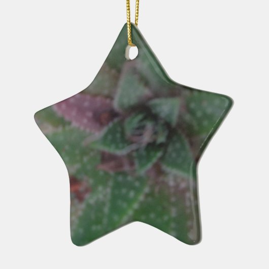 Misty Succulent, Green Paars, Natuur, Flora Plant Keramisch Ornament (Links)