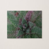 Misty Succulent, Green Paars, Natuur, Flora Plant Legpuzzel (Horizontaal)