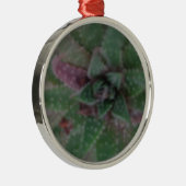 Misty Succulent, Green Paars, Natuur, Flora Plant Metalen Ornament (Rechts)