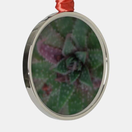 Misty Succulent, Green Paars, Natuur, Flora Plant Metalen Ornament (Rechts)