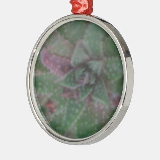 Misty Succulent, Green Paars, Natuur, Flora Plant Metalen Ornament (Links)