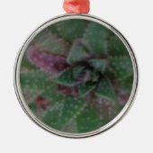 Misty Succulent, Green Paars, Natuur, Flora Plant Metalen Ornament (Voorkant)