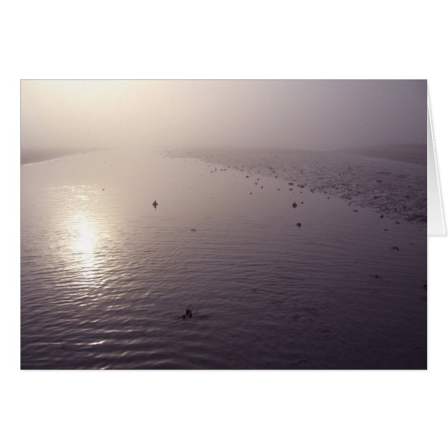 Misty sunset (Voorkant Horizontaal)