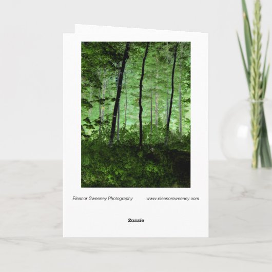 Misty Trees: Adirondack Forest Scene Veranderde Fo Kaart (Achterkant)