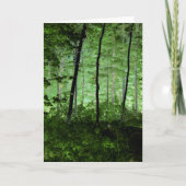 Misty Trees: Adirondack Forest Scene Veranderde Fo Kaart (Voorkant)