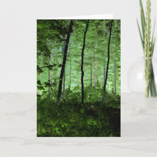 Misty Trees: Adirondack Forest Scene Veranderde Fo Kaart