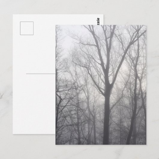 Misty Trees Gray Woodland Briefkaart (Voorkant / Achterkant)