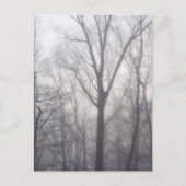 Misty Trees Gray Woodland Briefkaart (Voorkant)