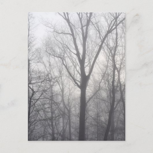 Misty Trees Gray Woodland Briefkaart (Voorkant)