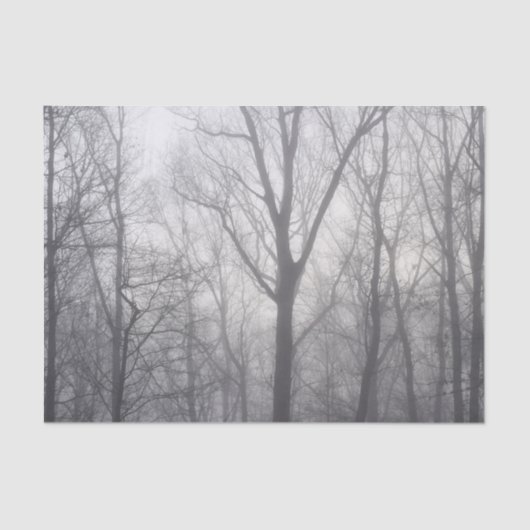 Misty Trees Gray Woodland Tissuepapier (Voorkant)