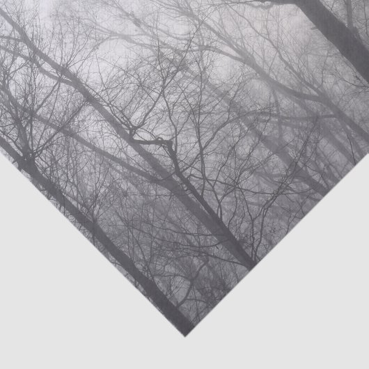 Misty Trees Gray Woodland Tissuepapier (Detail)