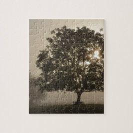 Misty Trees Legpuzzel