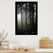 Misty Trees Wilderness Forest Foto's afdrukken Poster (Keuken)
