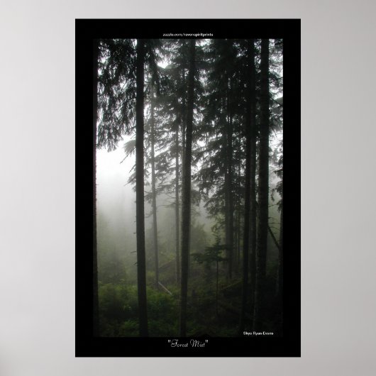 Misty Trees Wilderness Forest Foto's afdrukken Poster (Voorkant)