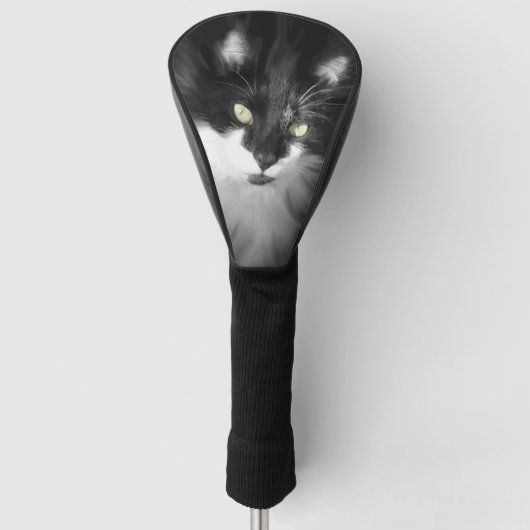 Misty Tuxedo Cat Golfheadcover (Voorkant)