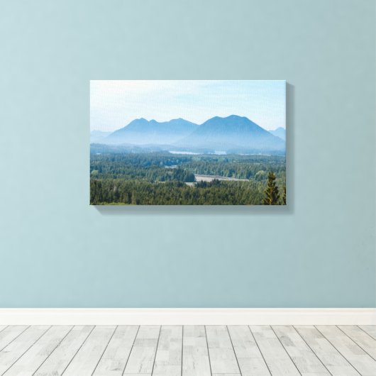Misty Valley in Tofino - British Columbia, Canada Canvas Afdruk (Insitu (Houten vloer))