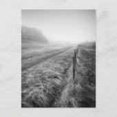 Misty Wiltshire Field briefkaart (Voorkant)