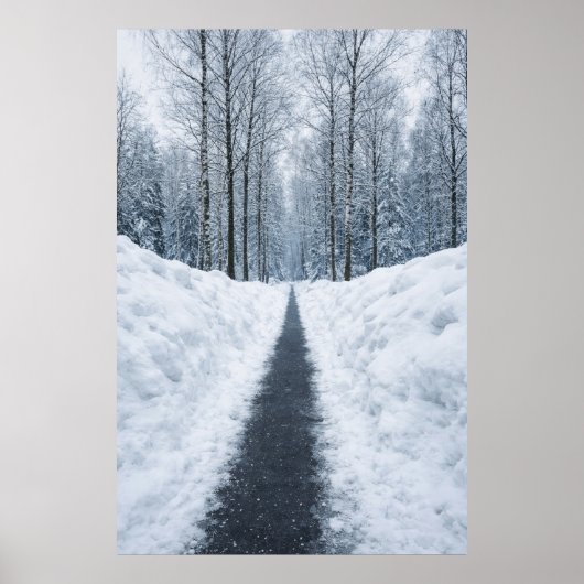 Misty Winter Forest Path Winter Landscape Poster (Voorkant)