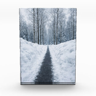 Misty Winter Forest Path Winter Landscape Poster Fotoblokken