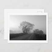 Misty Winter Morning: Cheshire, Engeland Briefkaart (Voorkant / Achterkant)
