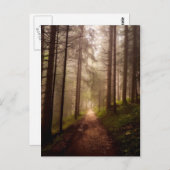 Misty Woodland Path Briefkaart (Voorkant / Achterkant)