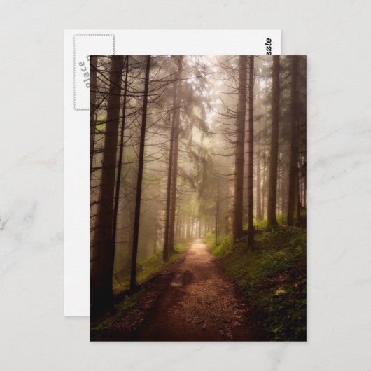 Misty Woodland Path Briefkaart (Voorkant / Achterkant)
