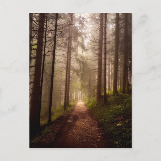 Misty Woodland Path Briefkaart (Voorkant)