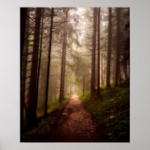Misty Woodland Path Poster (Voorkant)