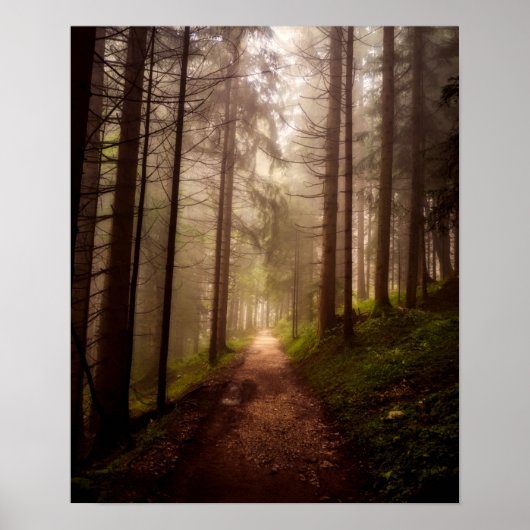 Misty Woodland Path Poster (Voorkant)
