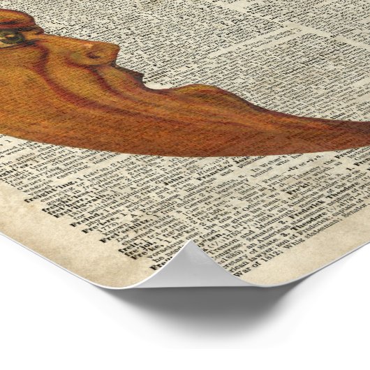 Mistycal Miedieval Moon Face  Illustratie Poster (Hoek)