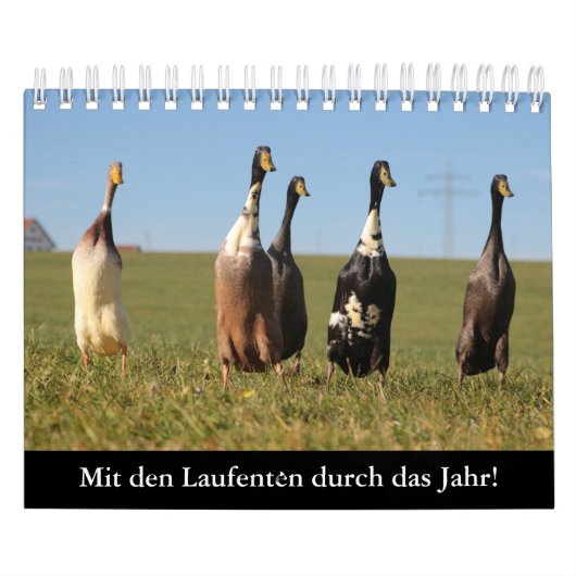 Mit den Laufenten durch das Jahr! Kalender (Hoes)