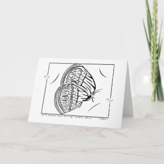 Mitchell's Satyr Butterfly Maze Wenskaart Kaart