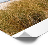 Mitchelville Beach 2008, Natalie Nelson Poster (Hoek)