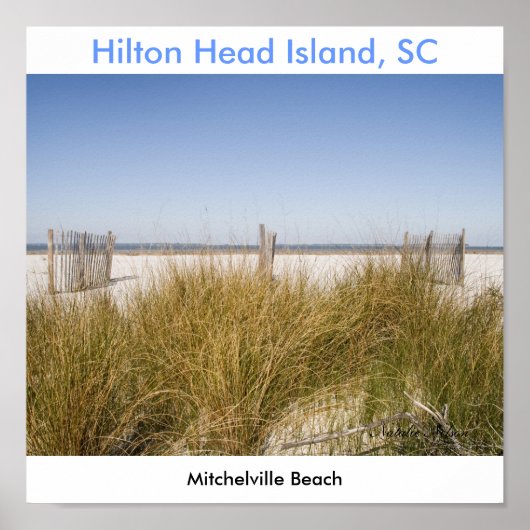 Mitchelville Beach 2008, Natalie Nelson Poster (Voorkant)