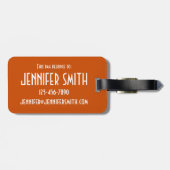 Mithai Indian Sweets Confectionery Desserts India Bagagelabel (Achterkant horizontaal)