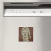 Mithridates VI Eupator, koning van Pontus Magneet (Insitu (Vaatwasser))