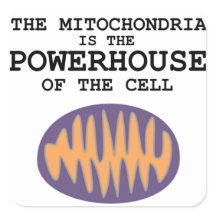 Mitochondria is de krachtpatser - Sticker
