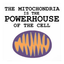 Mitochondria is het Powerhouse-Poster