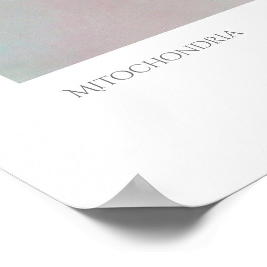 Mitochondria Print (Hoek)