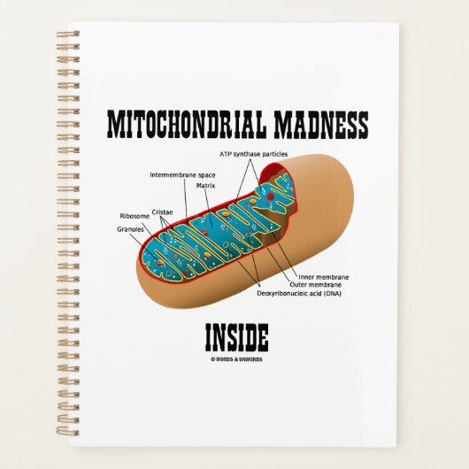 Mitochondriale waanzin in de biologie van de mitoc planner (Voorkant)
