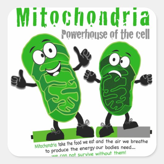 Mitochondriën Powerhouse van de Cel Vierkante Sticker (Voorkant)