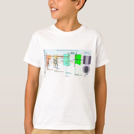 Mitonchondrial Intermembrane Space Diagram T-shirt (Voorkant)